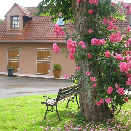 Hotel Du Moulin Aux Draps Desvres Exteriör bild