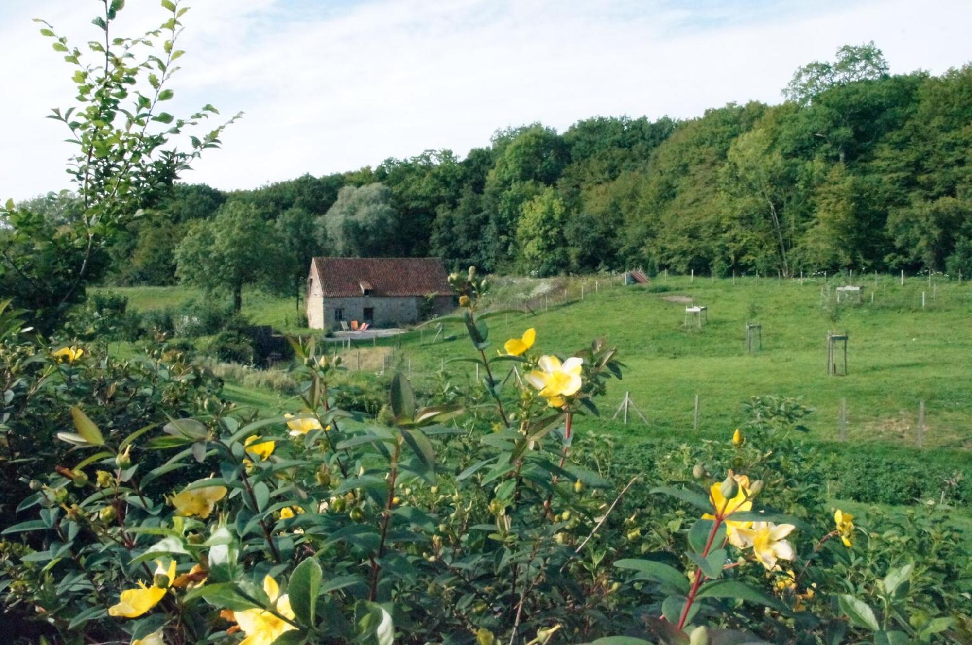 Hotel Du Moulin Aux Draps Desvres Exteriör bild